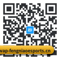 系统版 Android 二维码