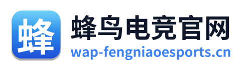 蜂鸟电竞官网 Logo